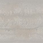Primordia