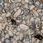 Wild Agate